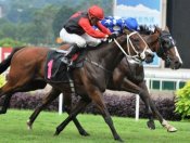 Maurice Utrillo lands the two-horse war by nosing out Cash Luck on his inside.<br>Photo by Singapore Turf Club